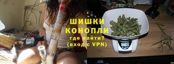 прущие грибы Богородицк