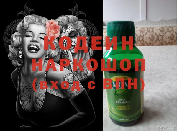 прущие грибы Богородицк