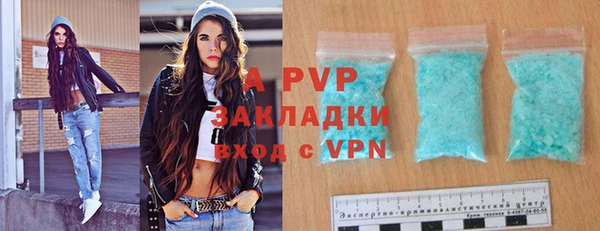прущие грибы Богородицк
